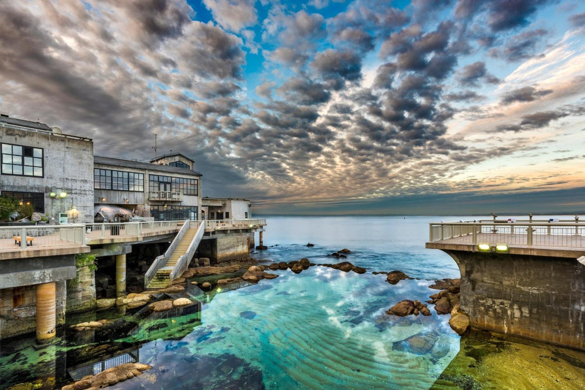 3943 Rad Beach House Home Pacific Grove Exteriér fotografie