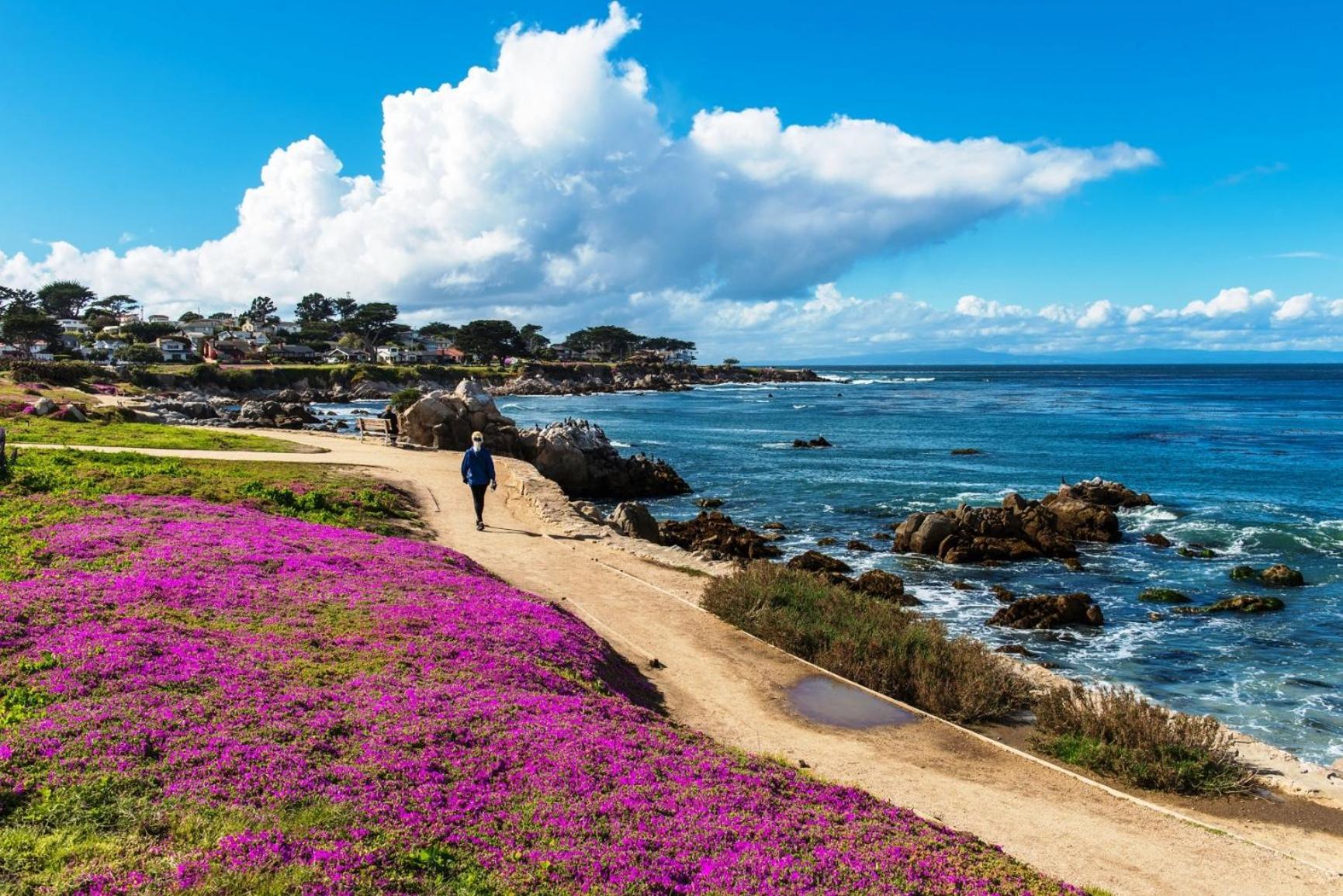 3943 Rad Beach House Home Pacific Grove Exteriér fotografie